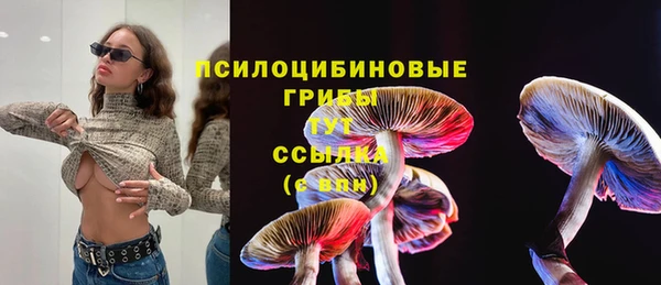 гидропоника Алексин